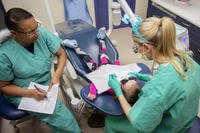 Tricare Dental Plan Costs